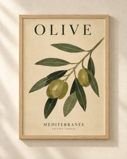 Olive Botanical - plakat botaniczny w ramie